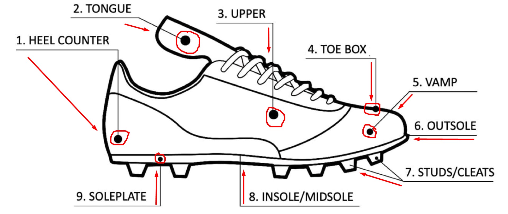 Soccer Cleats Infographic