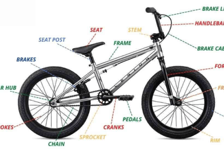 Breaking Down BMX Bike Anatomy