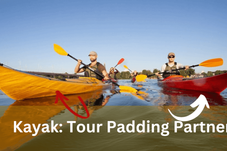 Kayak Tour Padding Partner